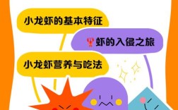 宝宝龙虾做法大全视频，怎么做宝宝能吃？