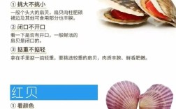 贝壳海鲜怎么做好吃又简单？