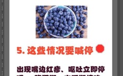 一岁宝宝蓝莓怎么吃安全又合适？