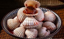 现在海鲜贝类哪些品种最值得吃？