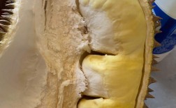 牛奶榴莲海鲜同食会引发不适吗？