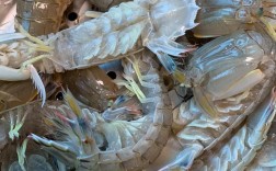 虾爬子怎么做好吃又家常？