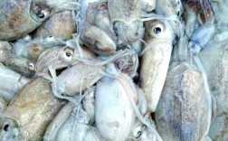 海鲜泡福尔马林是普遍现象吗？