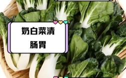 一岁宝宝能吃大白菜吗？