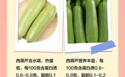 七个月宝宝能吃角瓜吗？