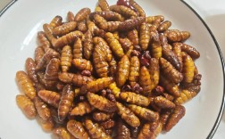 家常蚕蛹做法有哪些？