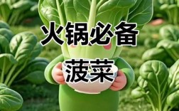 海鲜火锅能和菠菜一起煮吗？