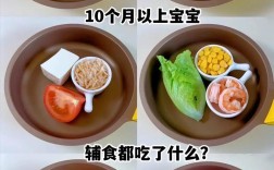 10个月宝宝一天食谱怎么安排才科学？