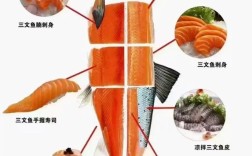 海鲜刺身加工做法有哪些关键步骤？