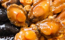 海鲜金玉满堂如何高效养殖？