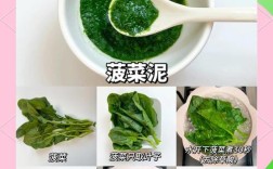 六个月宝宝能吃菠菜泥吗？