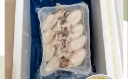 海鲜墨鱼可以水煮吃吗