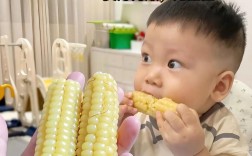 八个月宝宝能吃玉米吗？