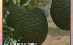 八个月宝宝牛油果怎么吃才安全？