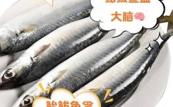 一岁宝宝能吃鲅鱼吗？需注意什么？