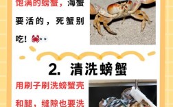 螃蟹蒸多久才熟透？