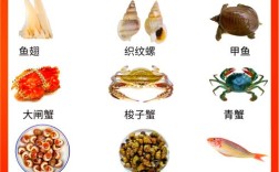 海鲜不能与哪些同食？