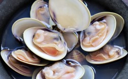 花甲海鲜如何正确保存？