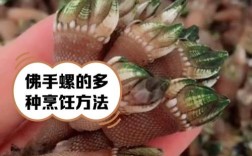 佛手海鲜怎么做？视频教程教你！