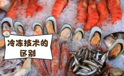 冰冻海鲜怎么选？好吃的有哪些推荐？