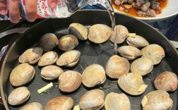 mussel是什么海鲜