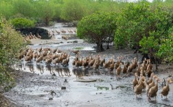 温州为何成中国海鲜鸡蛋之乡？