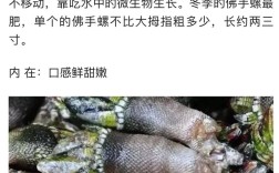 佛手海鲜怎么做？有哪些特色做法？