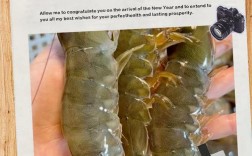 11月龄宝宝吃虾怎么做？能加辅食吗？