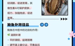 鲍鱼是海鲜，生病能吃吗？