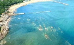 夏威夷海鲜稀缺，是地理限制还是另有隐情？