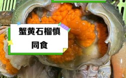 东海黄海海鲜差异大吗？