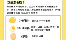 宝宝宝宝怎么添加鸡蛋