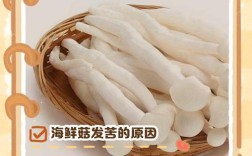 海鲜菇和山药能一起吃吗？