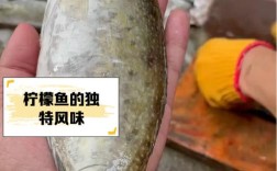 海鲜柠檬鱼怎么做才够鲜嫩？