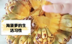 菠萝可以和海鲜一起吃吗