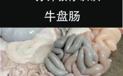 牛肠家常的做法和菜名