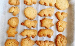 三个月的宝宝吃啥饼干