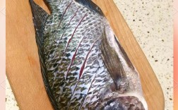 海鲜过敏能吃罗非鱼吗？