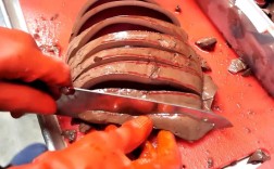 八个月宝宝能吃牛血吗？