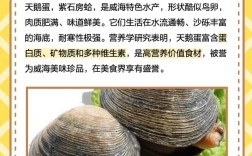 海鲜天鹅蛋哪些部位不能吃？