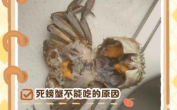 海鲜腥味从何而来？