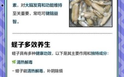 蛏子算海鲜吗？二者区别在哪？