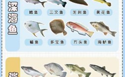 一岁宝宝能吃多宝鱼吗？