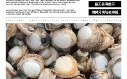 冷冻贝类海鲜如何清洗才干净？