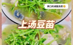 家常煮豆芽做法有哪些？