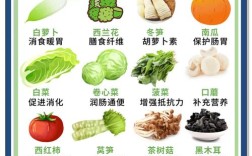 六个月宝宝适合吃哪些蔬菜？