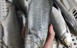 海鲜竹笋同食会相克吗？