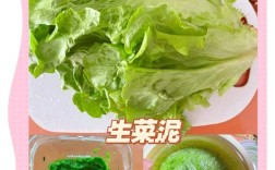 宝宝辅食生菜泥的做法