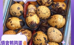 八个月宝宝可以吃鹌鹑蛋吗