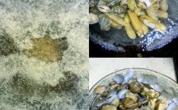 海鲜小炒怎么做？有哪些家常做法？